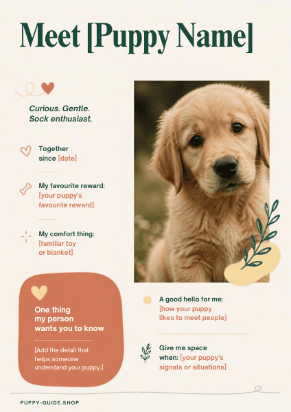 Meet My Puppy