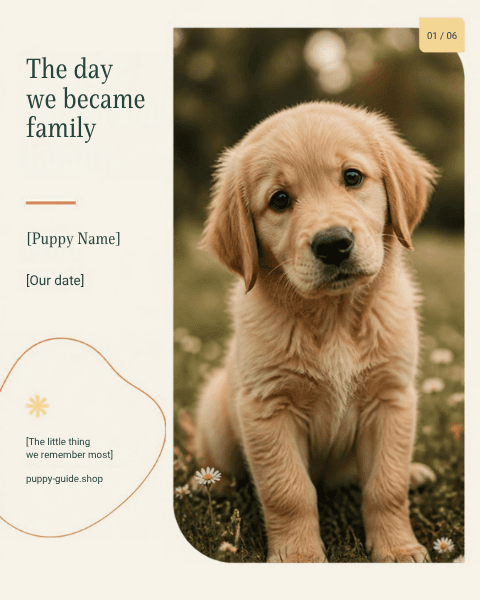 Puppy photo milestones